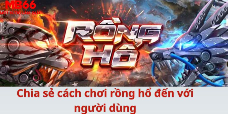 Chia sẻ cách chơi rồng hổ đến với người dùng