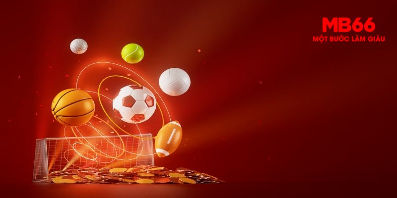 Cá cược bóng đá là niềm đam mê tại CMD Sport