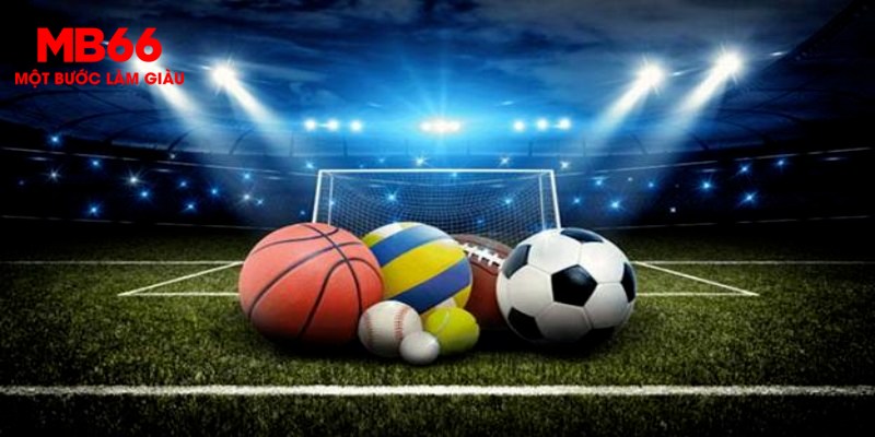  Kinh nghiệm và lời khuyên từ chuyên gia CMD368 Sport ra sao?