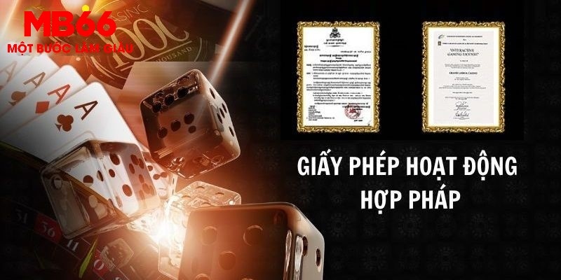 Hướng dẫn kiểm tra giấy phép hoạt động tại MB66