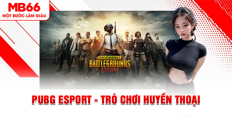 Pubg Esport - Trò Chơi Huyền Thoại Với Sức Hút Đặc Biệt