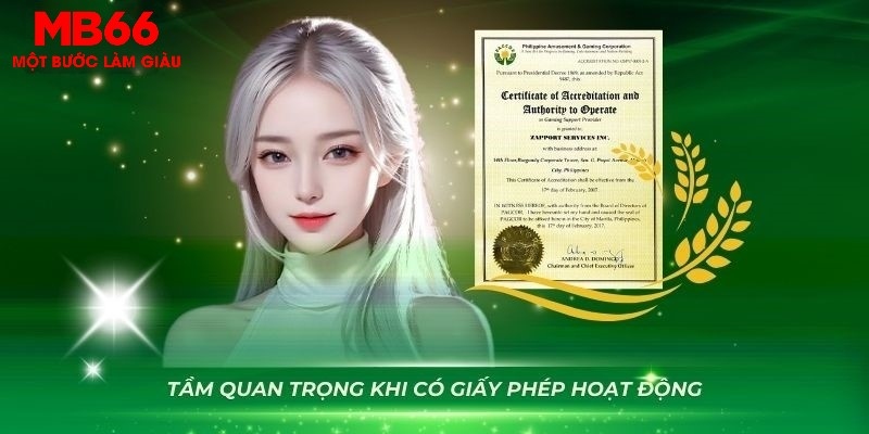 Ý nghĩa quan trọng của giấy phép hoạt động đơn vị sở hữu